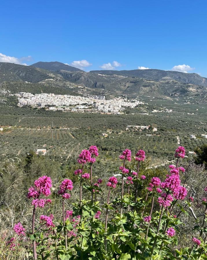 Orchidea Mattinata Parco Del Gargano Daire Dış mekan fotoğraf