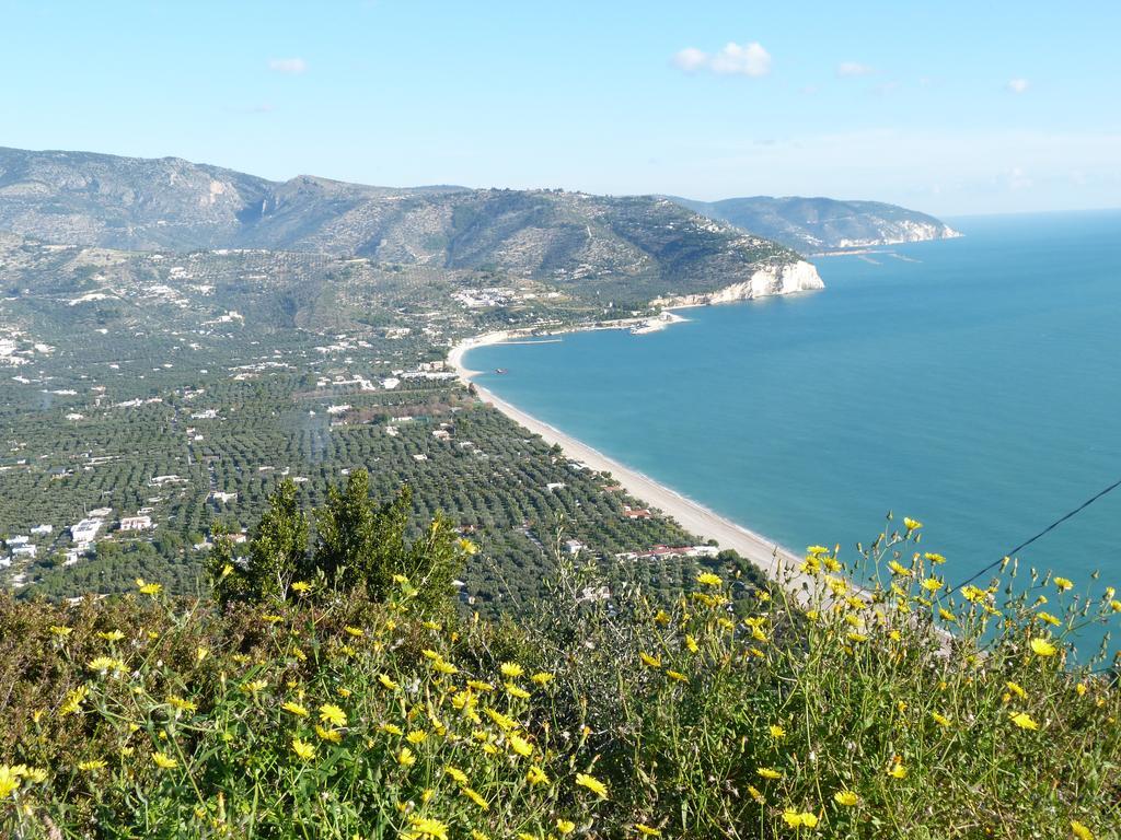 Orchidea Mattinata Parco Del Gargano Daire Dış mekan fotoğraf