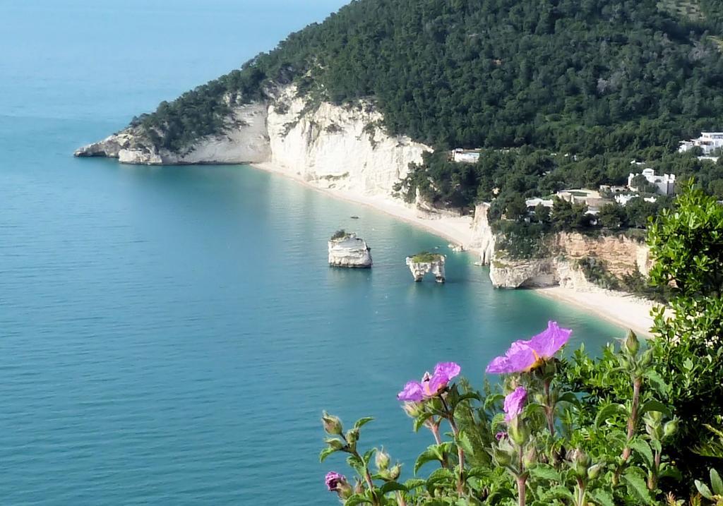 Orchidea Mattinata Parco Del Gargano Daire Dış mekan fotoğraf